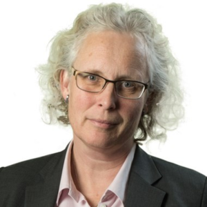 Anna Lefevre Skjöldebrand, CEO, Swedish Medtech 
