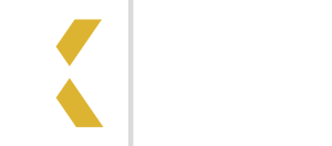LSX IP Workshop White