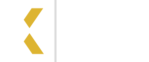 LSX M&A Workshop White