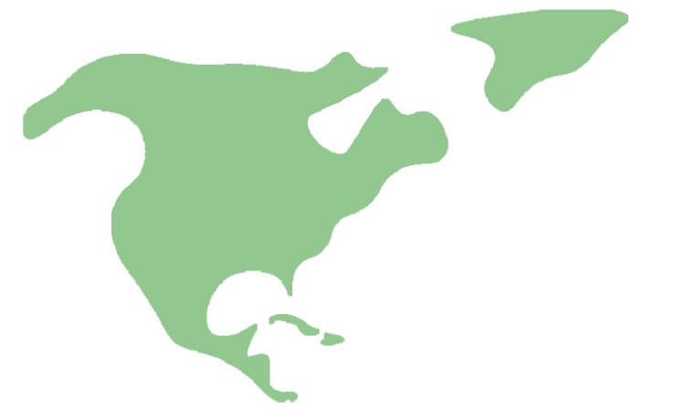 LSX North America Events