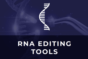 RNA icone 3