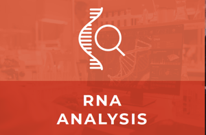 RNA icone 6