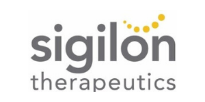 Sigilon 300x