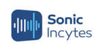Sonic Incytes 300 150