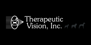Therapeutic Vision 300x