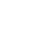 leadership icon-1