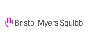BSM 300 150
