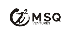 MSQ Ventures Logo